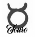 Touro Amor, Amizade, Carreira e Sexo